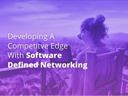 Developing a Competitive Edge with Software Defined Networking