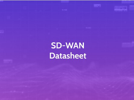 SD-WAN Data Sheet
