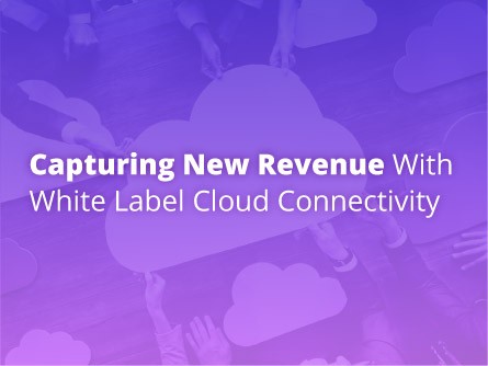 Capturing New Revenue with White Label Cloud Connectivity