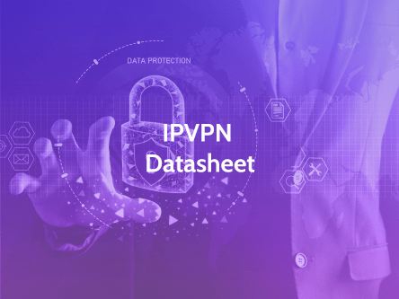 ip vpn datasheet thumbnail