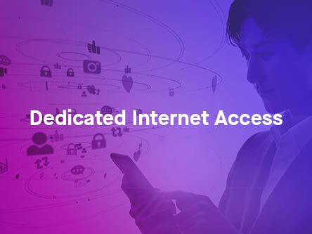 Dedicated Internet Access Datasheet